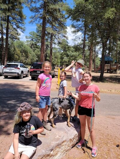 Rumsey Park Dog Park - Payson, AZ