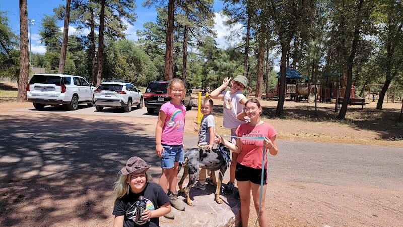Rumsey Park Dog Park - Payson, AZ