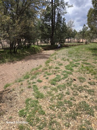 Rumsey Park Dog Park - Payson, AZ