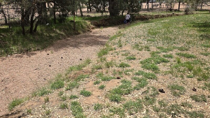 Rumsey Park Dog Park - Payson, AZ