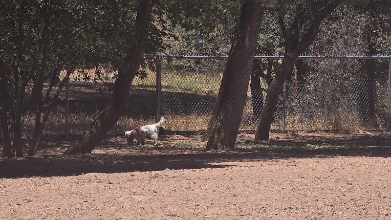 Rumsey Park Dog Park - Payson, AZ