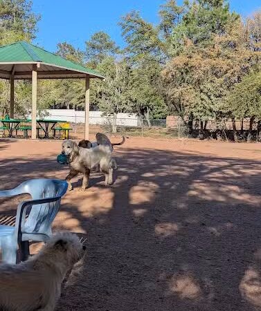Rumsey Park Dog Park - Payson, AZ