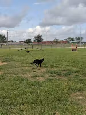Independence Dog Park - Pearland, TX