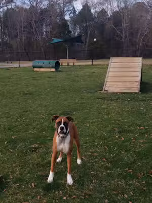 Pelham Dog Park - Pelham, AL