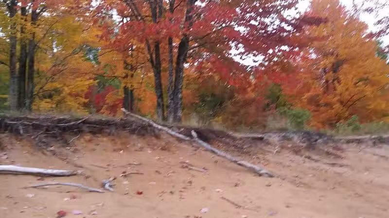 Pellston Pioneer Park - Pellston, MI