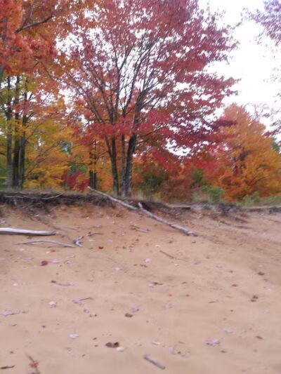 Pellston Pioneer Park - Pellston, MI