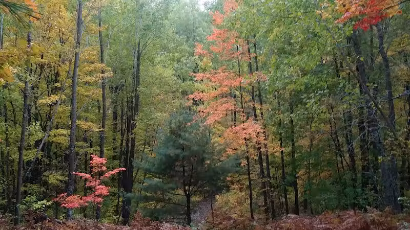 Pellston Pioneer Park - Pellston, MI