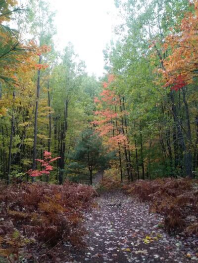 Pellston Pioneer Park - Pellston, MI