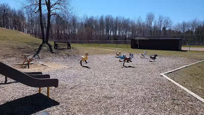 Pellston Pioneer Park - Pellston, MI