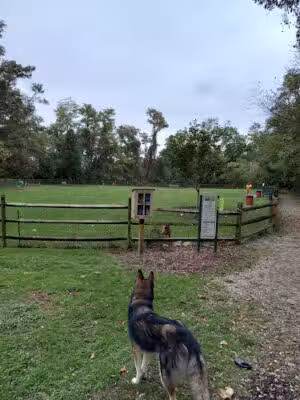 Penn Hills Dog Park - Penn Hills Township, PA