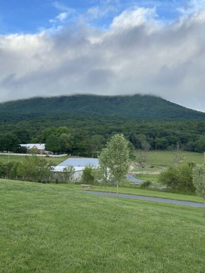 Rockingham Park at the Crossroads - Penn Laird, VA