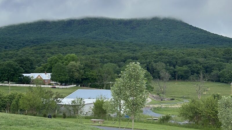 Rockingham Park at the Crossroads - Penn Laird, VA
