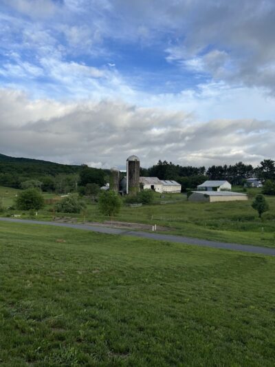 Rockingham Park at the Crossroads - Penn Laird, VA