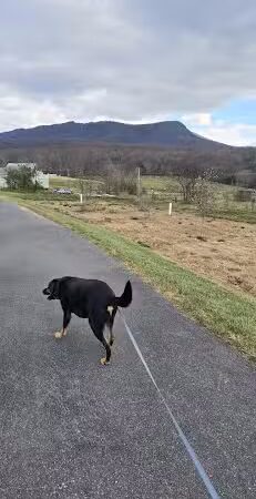 Rockingham Park at the Crossroads - Penn Laird, VA
