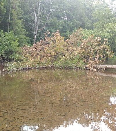 Kunkel Park - Pennington, NJ