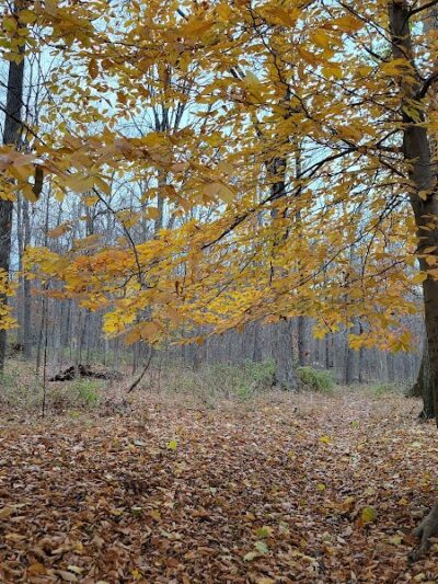 Kunkel Park - Pennington, NJ