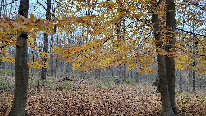 Kunkel Park - Pennington, NJ