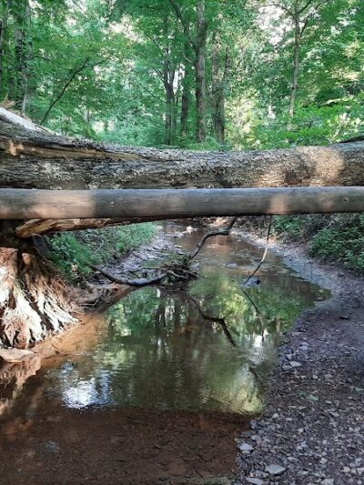 Kunkel Park - Pennington, NJ