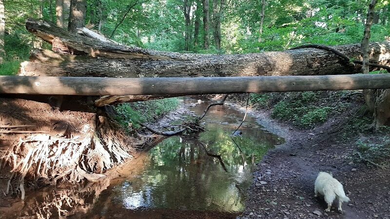 Kunkel Park - Pennington, NJ