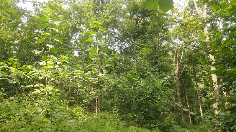 Kunkel Park - Pennington, NJ