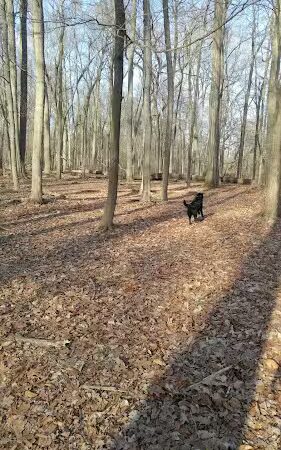Kunkel Park - Pennington, NJ