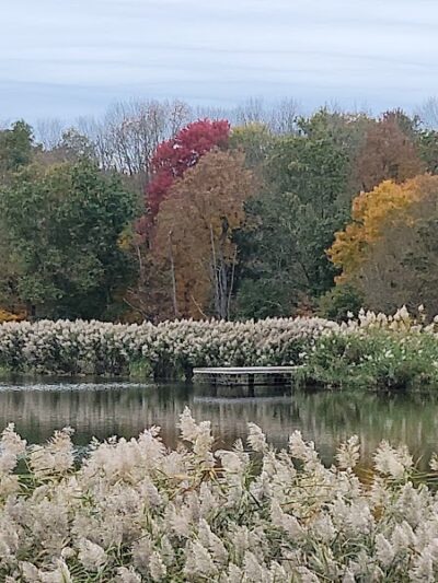 Rosedale Lake Parking Area: Lawrence Hopewell Trail - Pennington, NJ