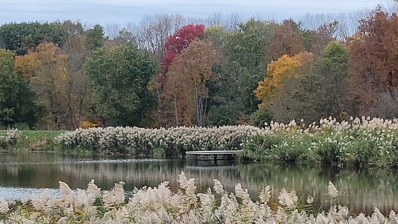 Rosedale Lake Parking Area: Lawrence Hopewell Trail - Pennington, NJ