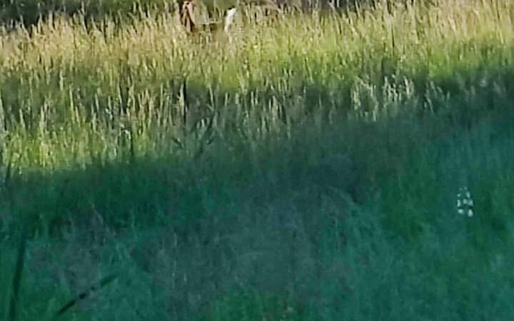 Rosedale Lake Parking Area: Lawrence Hopewell Trail - Pennington, NJ