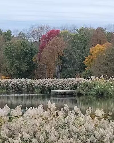 Rosedale Lake Parking Area: Lawrence Hopewell Trail - Pennington, NJ