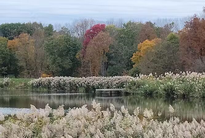 Rosedale Lake Parking Area: Lawrence Hopewell Trail - Pennington, NJ