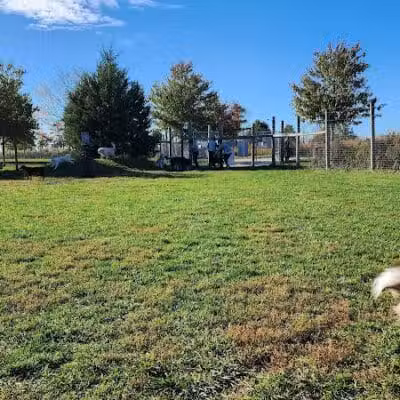 Rosedale Dog Park - Pennington,