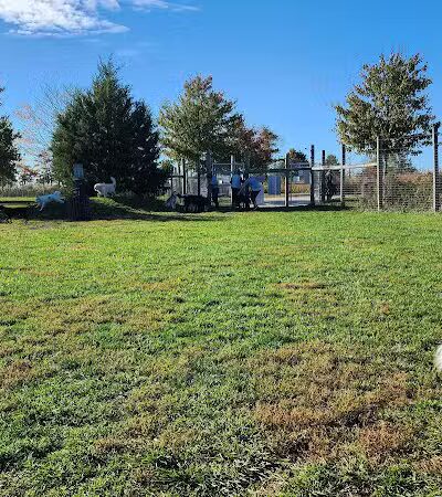 Rosedale Dog Park - Pennington,