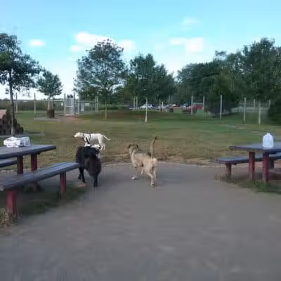 Rosedale Dog Park - Pennington,