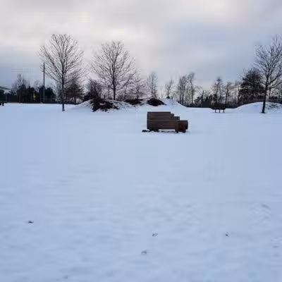 Rosedale Dog Park - Pennington,