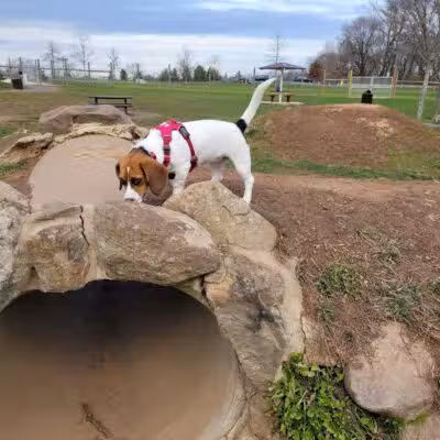 Rosedale Dog Park - Pennington,