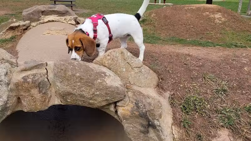 Rosedale Dog Park - Pennington,