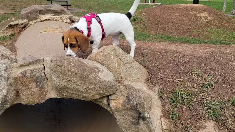 Rosedale Dog Park - Pennington,