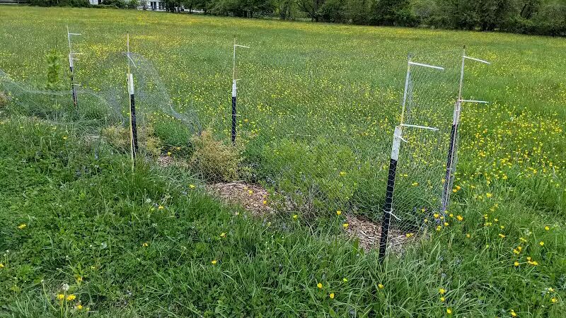 Rosedale Dog Park - Pennington,