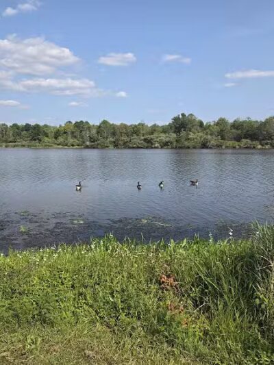 Rosedale Dog Park - Pennington,
