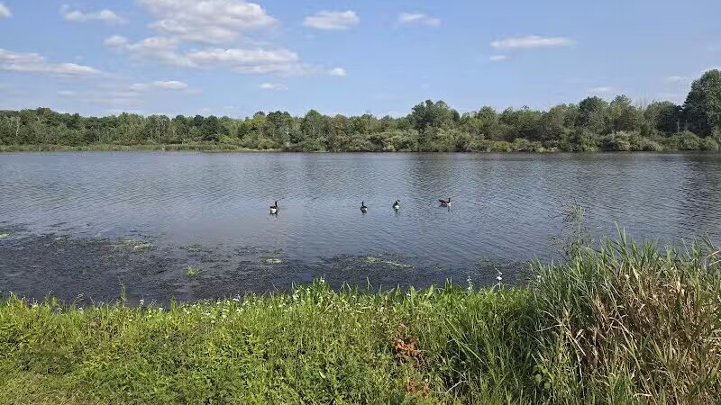 Rosedale Dog Park - Pennington,