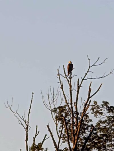 Rosedale Park - Pennington, NJ