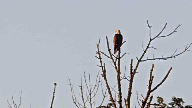 Rosedale Park - Pennington, NJ