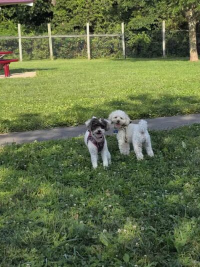 Rosedale Park - Pennington, NJ