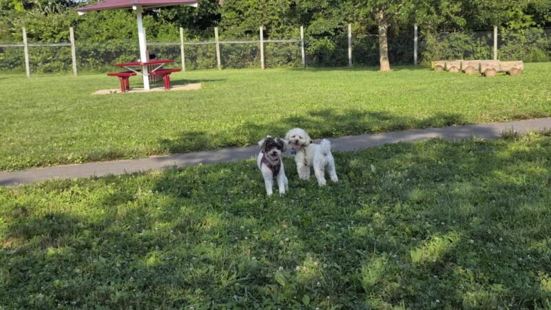 Rosedale Park - Pennington, NJ