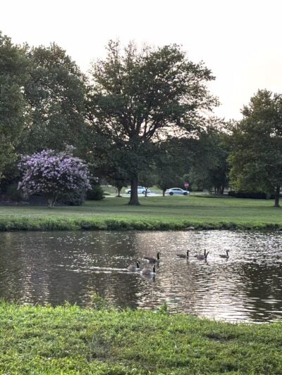 Cooper River Park - Pennsauken, NJ