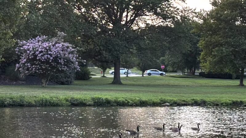 Cooper River Park - Pennsauken, NJ