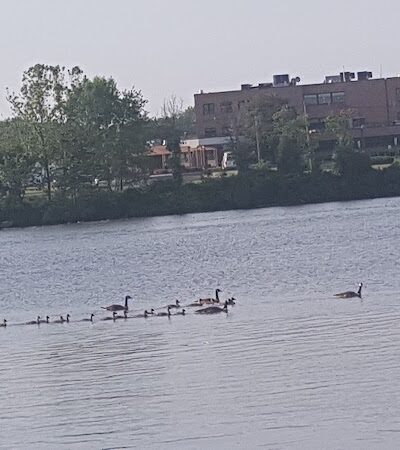 Cooper River Park - Pennsauken, NJ