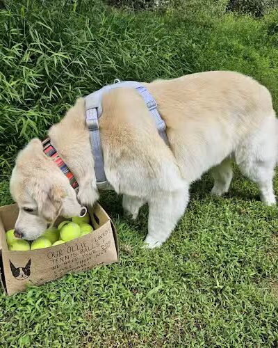 Cooper River Park - Pennsauken, NJ