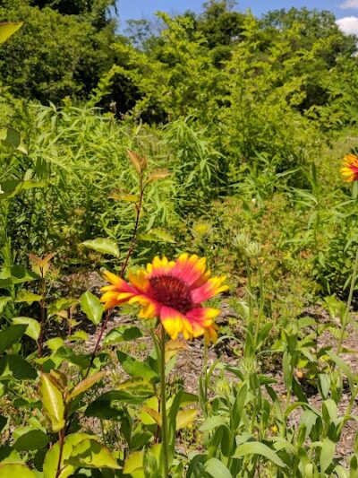 Gateway Park - Pennsauken, NJ