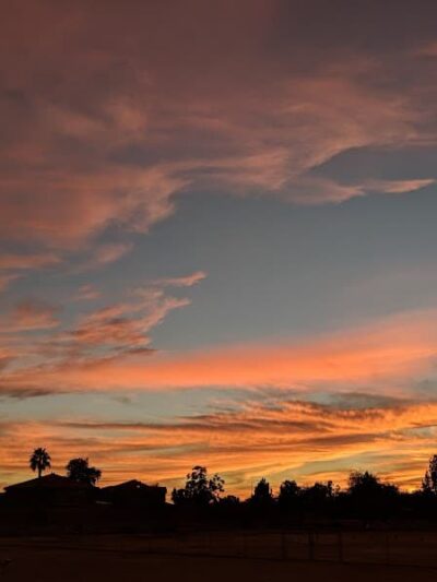 Alta Vista Park Off-leash Dog Park - Peoria, AZ